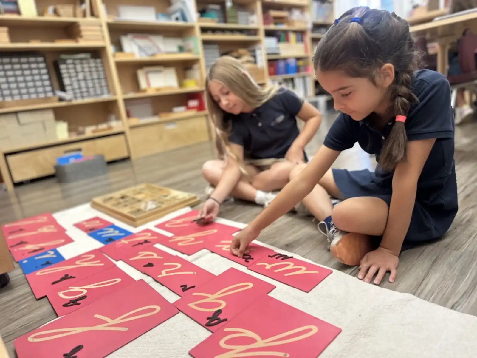 Montessori school programs